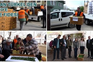 Atakumlu Çiftçiye 100 Bin Adet Sebze Fidesi Desteği Veriliyor